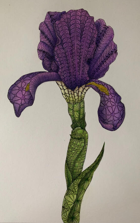 c&#39;est n&#39;est pas une iris