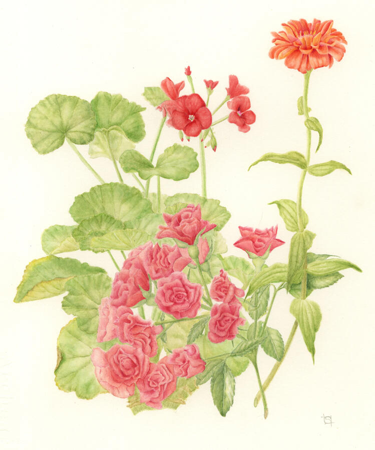 I Miss America - Watercolor I Miss America - Watercolor