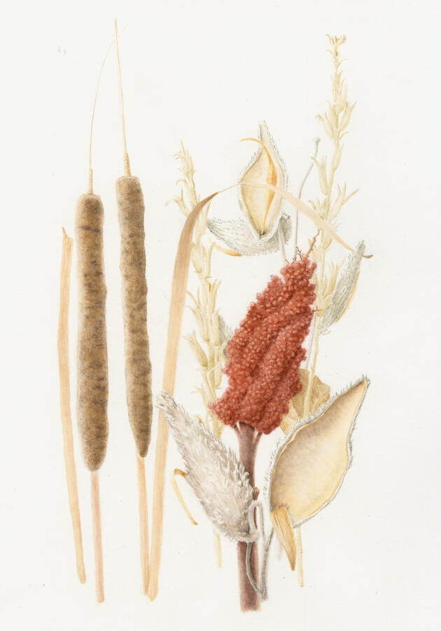 Colorado Winter Open Space - Watercolor