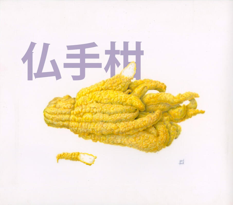Buddha&#39;s Hand Citrus - Colored Pencil